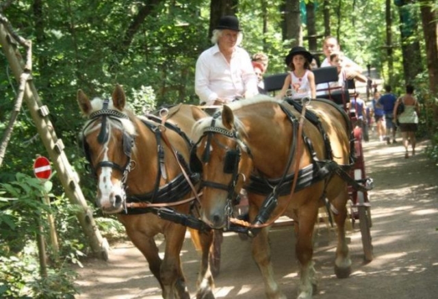  Paseo en carruaje en Vendée